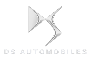 DS logo